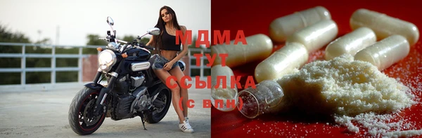 спиды Богданович