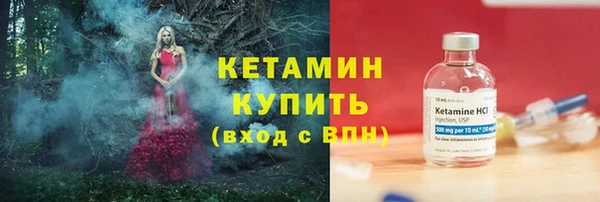 спиды Богданович
