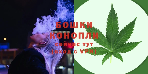 спиды Богданович