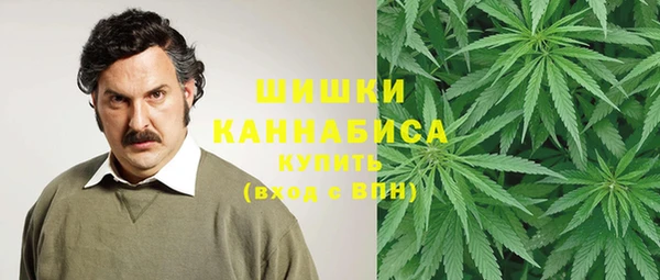 гидра Строитель
