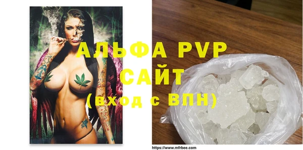 спиды Богданович